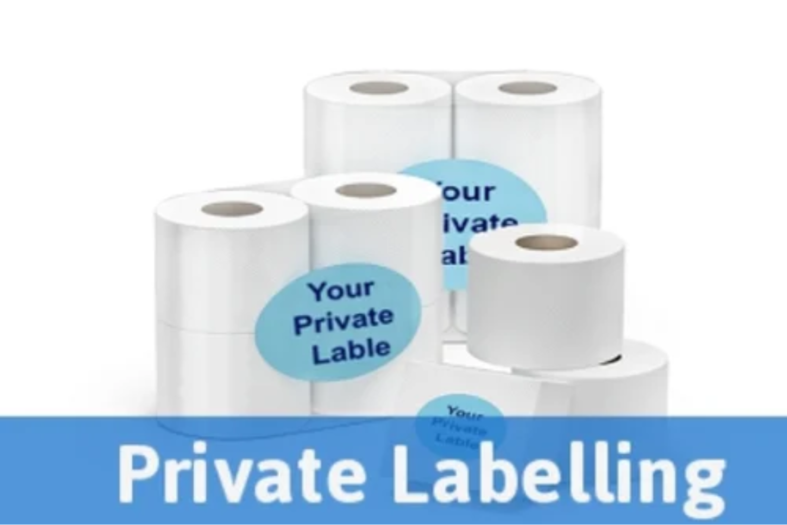 Untitled design (76)